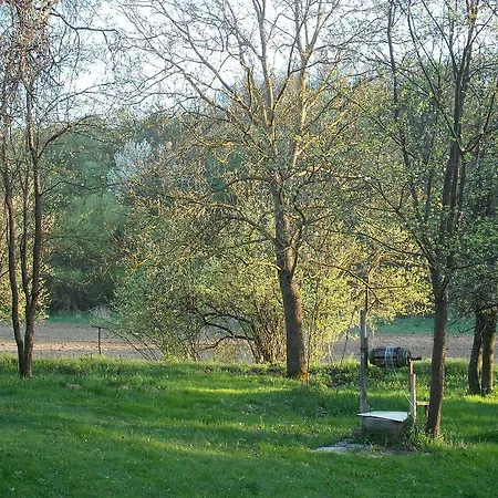 Beck Farm